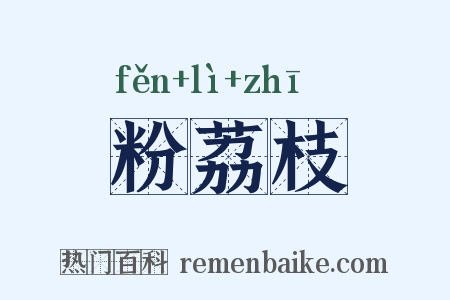 粉荔枝是什么意思的图片